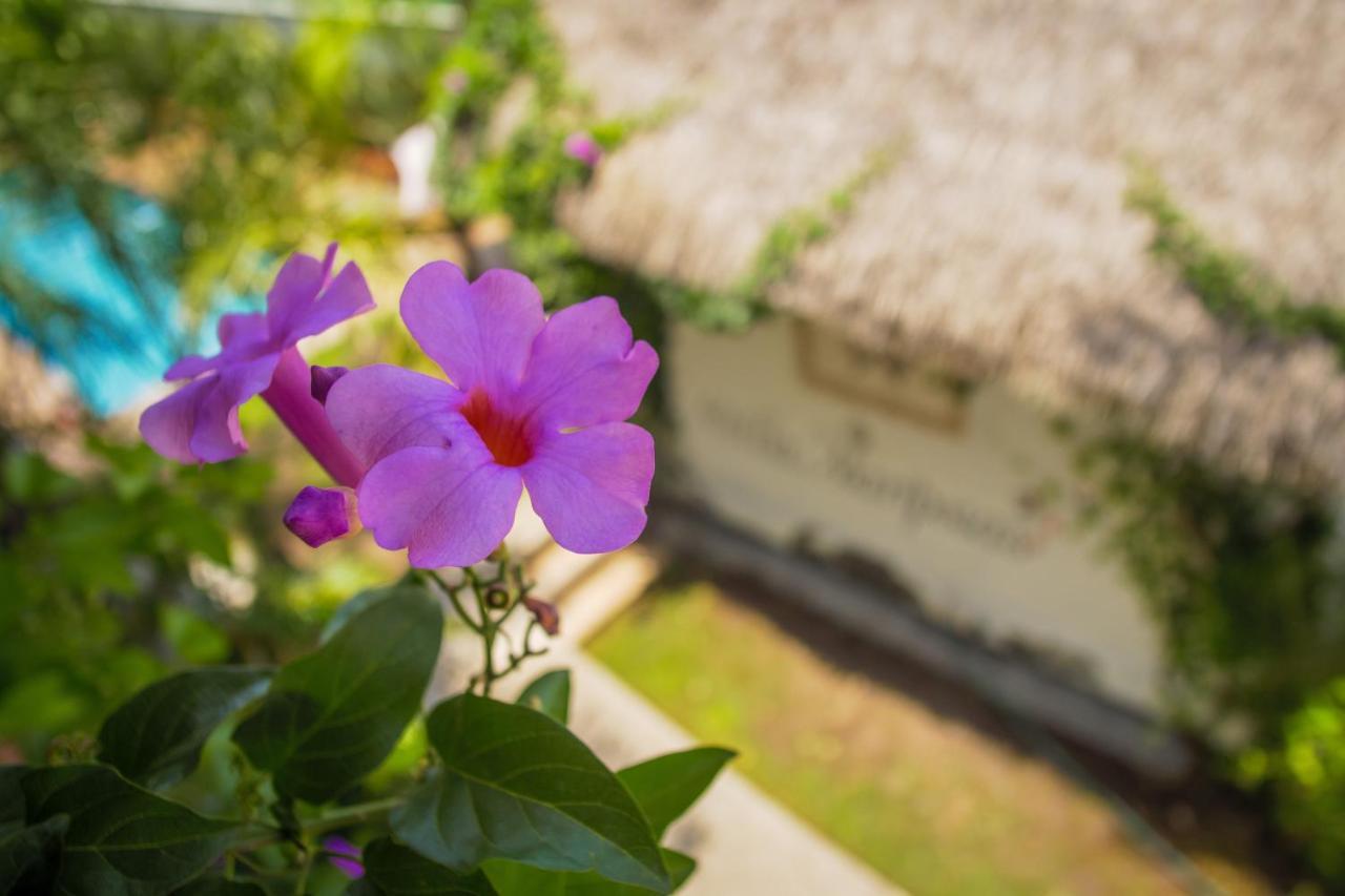 Hotel Villas Mariposas Atlixco Buitenkant foto