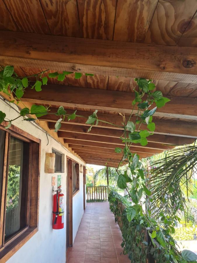 Hotel Villas Mariposas Atlixco Buitenkant foto