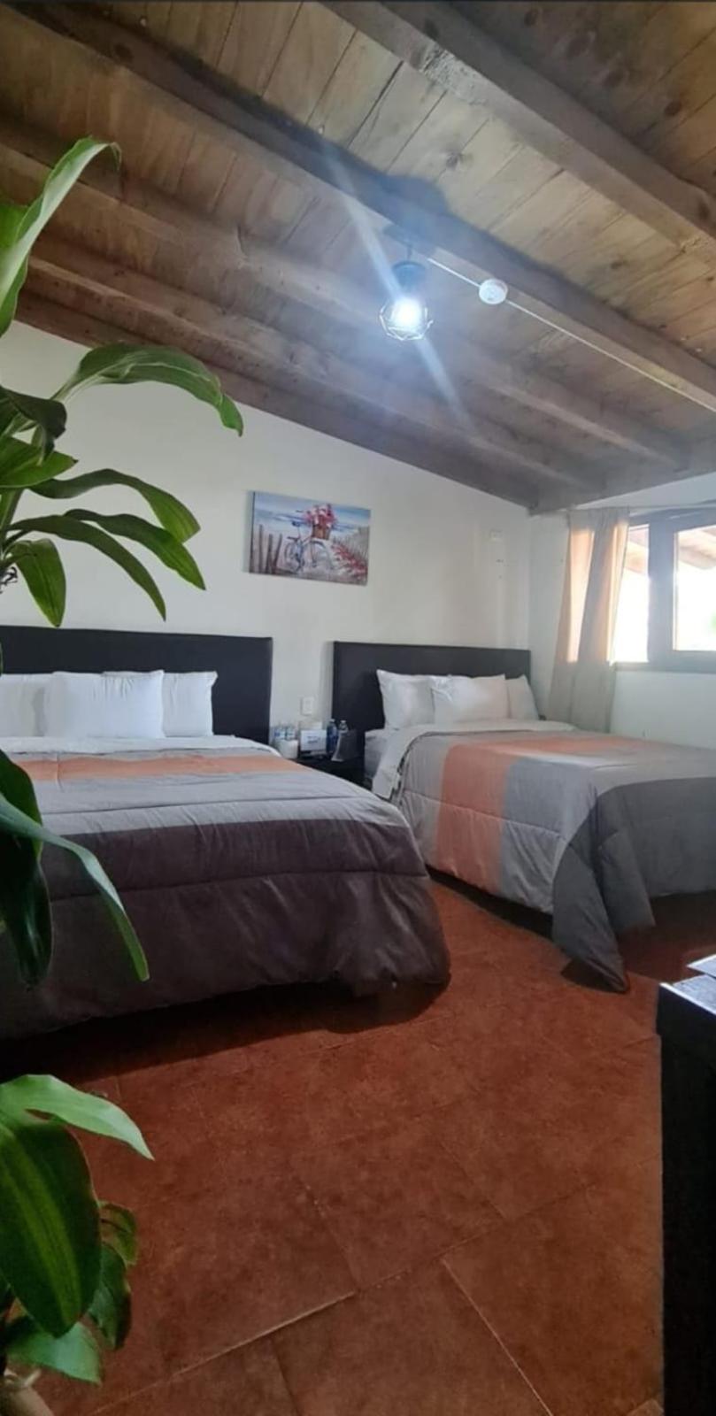 Hotel Villas Mariposas Atlixco Buitenkant foto